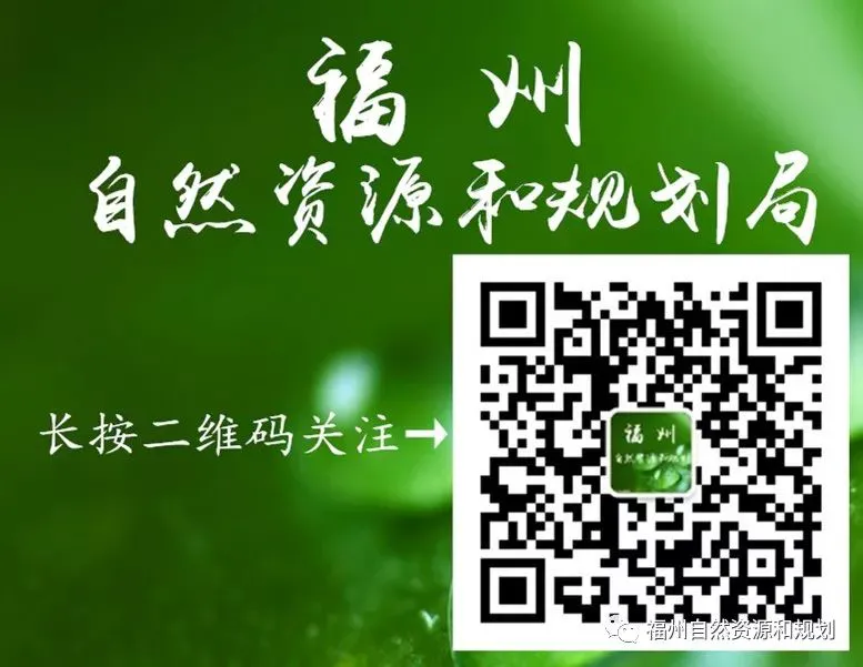 刻苦训练篮球时如何避免受伤的建议_1